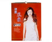 明星風(fēng)采掛歷