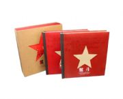 建黨主打：《奮斗》郵票，票證